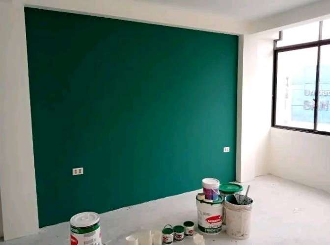 Pintor económico 595072032
