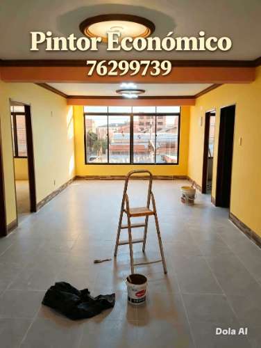 Pintor económico 595072032