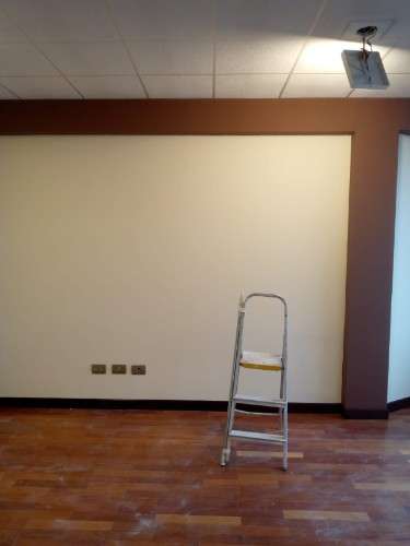 Pintor económico 595072032
