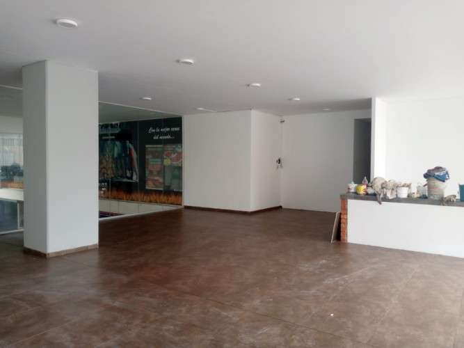 Pintor económico 595072032
