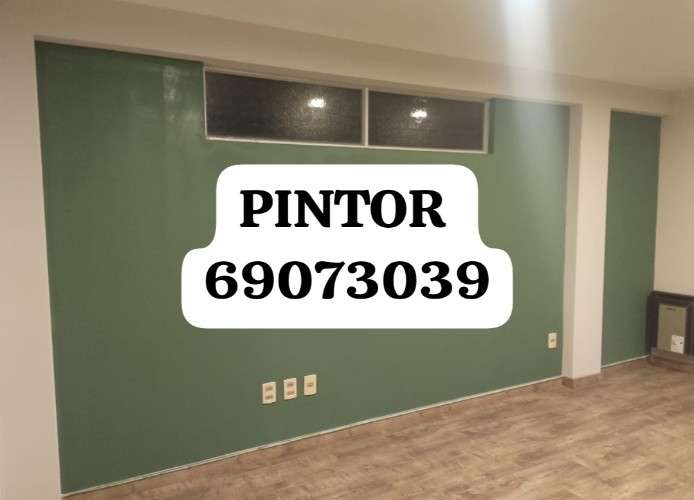 Pintor económico 595072032