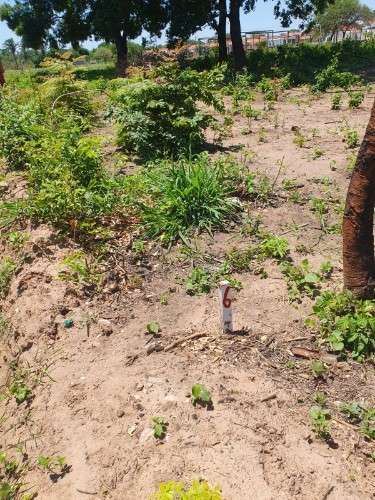 Venta de lote urbanizable de 360m² en zona este - oportunidad única735716599