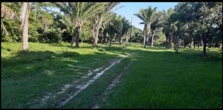 Terreno en venta477999215