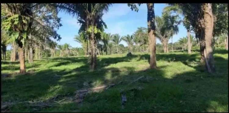 Terreno en venta477999215