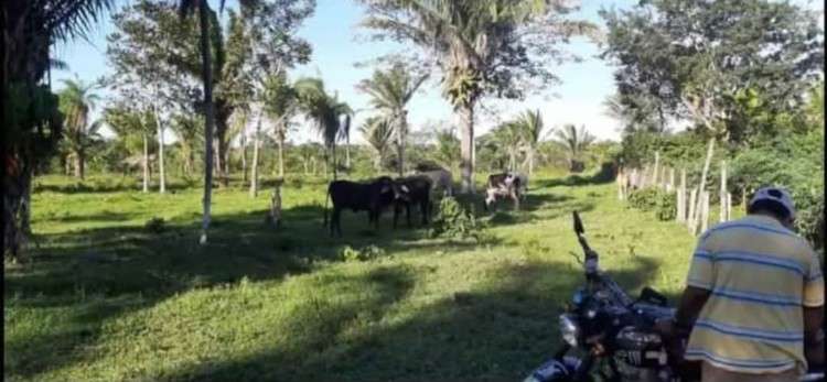 Terreno en venta477999215