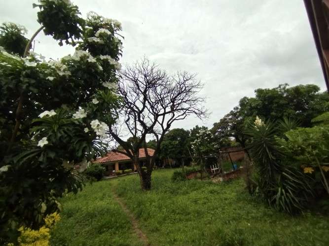 Terreno en venta zona sur 2080120096