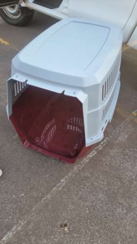 Ocasion jaula transportadora 1953170113
