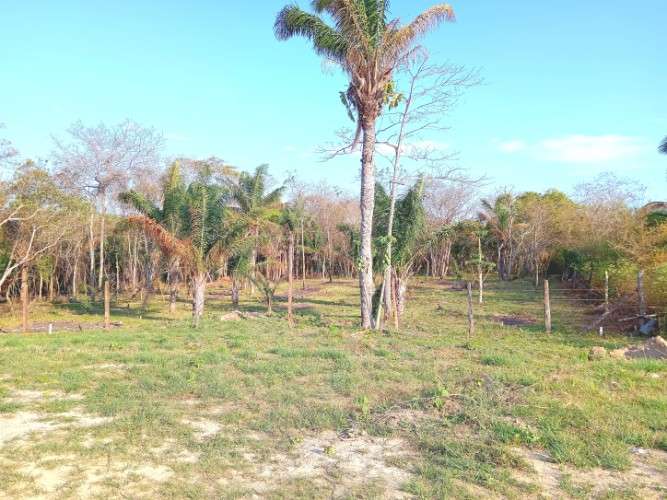 Venta de terreno de 2 hectáreas en zona noroeste, ideal para inversión 2000419658