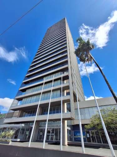 Oficinas en alquiler en planta alta en edificio ambassador164012599