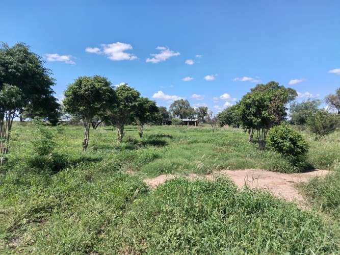 Propiedad ganadera en venta pailon 713377030