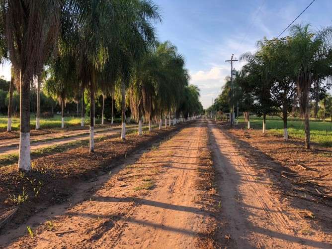 Amplio lote de 1740m2 en urbanización exclusiva al norte1580242504