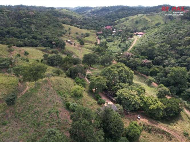 Propiedad ganadera y agrícola en venta425896275