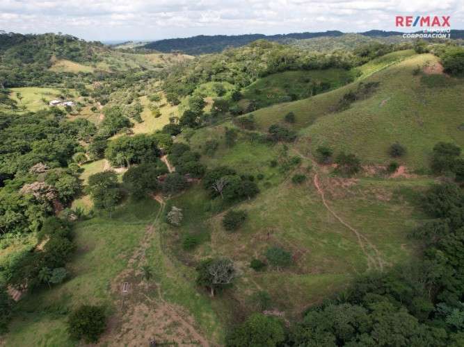 Propiedad ganadera y agrícola en venta425896275