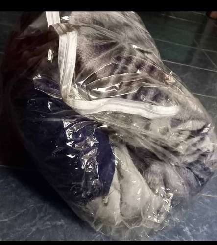 Frazada polar, usada1448497234