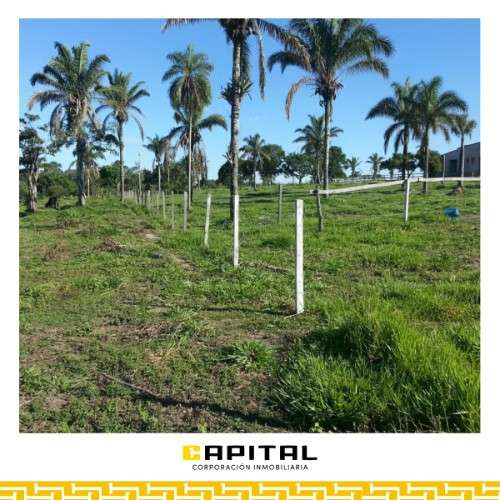  atención inversionistas y desarrolladores 921605162