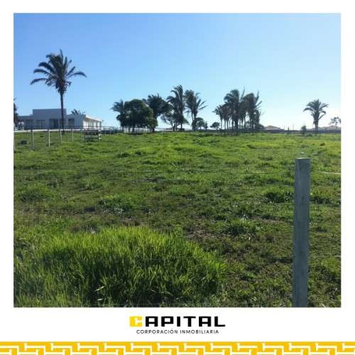  atención inversionistas y desarrolladores 921605162