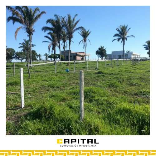  atención inversionistas y desarrolladores 921605162