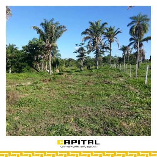  atención inversionistas y desarrolladores 921605162
