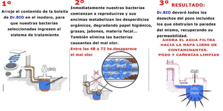Doctor bio destapa cañerias biologico 1732149976