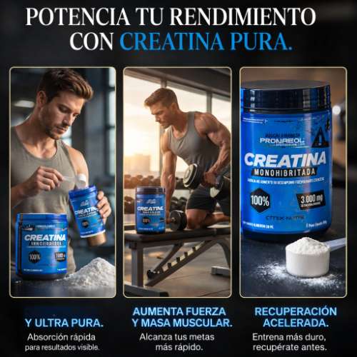 Creatina pro monohidratada 100% pura 300g 326066602