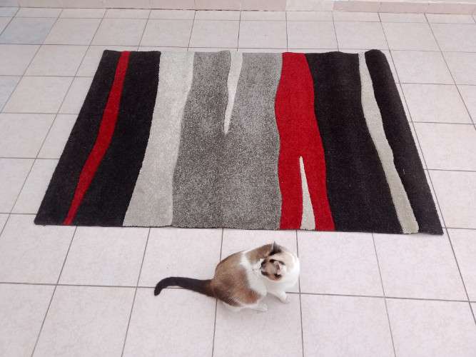 Alfombra premium - ind. belgica1566694057