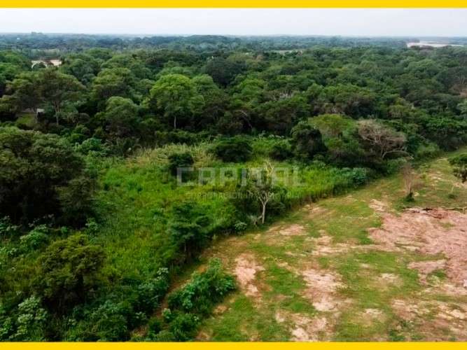 Terreno estratégico sobre la carretera warnes - la bélgica,2077135719