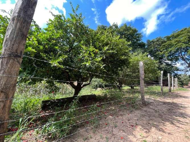 Propiedad ganadera y agrícola en venta425896275