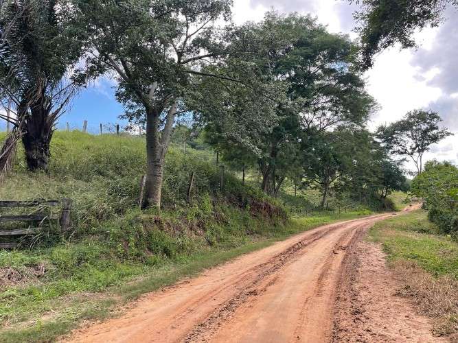 Propiedad ganadera y agrícola en venta425896275