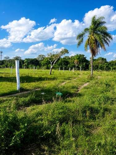 Terrenos de oferta en warnes57081824