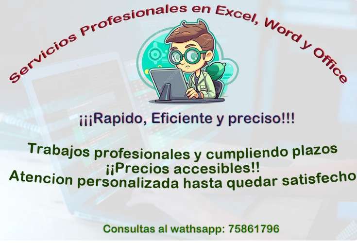 Se realizan trabajos en word y excel y office rapidos y eficientes422635090