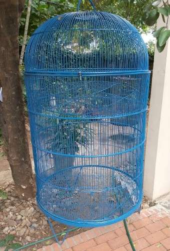 Jaula grande para aves1044756744