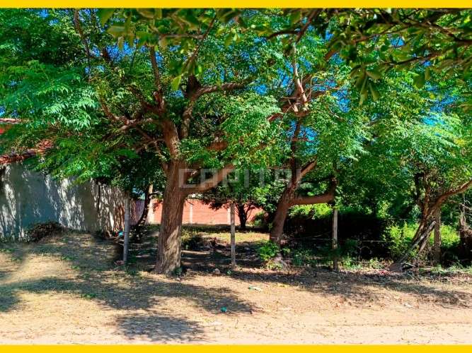 Terreno en venta zona g77470154332