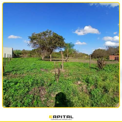Terreno en venta - zona sur este973628521