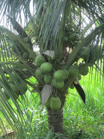 Venta de lotes en oferta de 365 a 1.000m21318271223