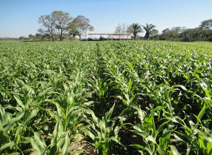 En venta propiedad para agricultura y ganaderia 1436560664