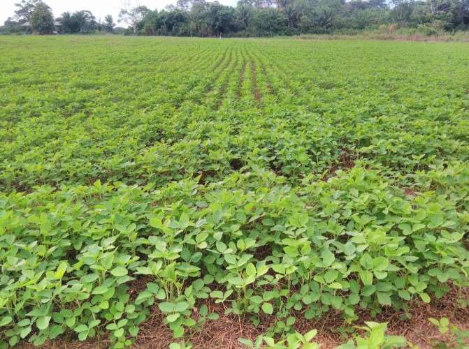 En venta propiedad para agricultura y ganaderia 1436560664