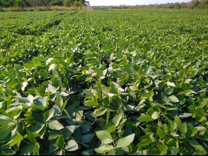 En venta propiedad para agricultura y ganaderia 1436560664
