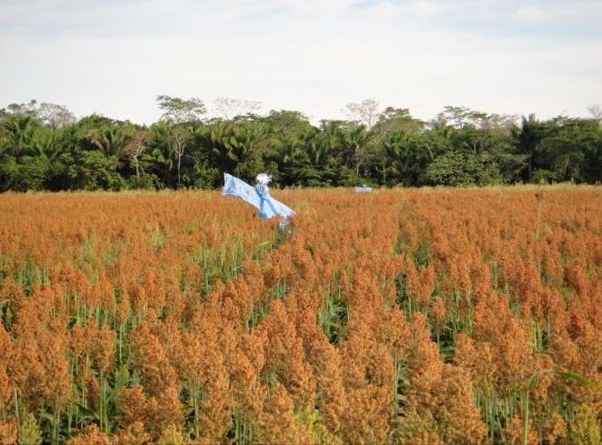 En venta propiedad para agricultura y ganaderia 1436560664