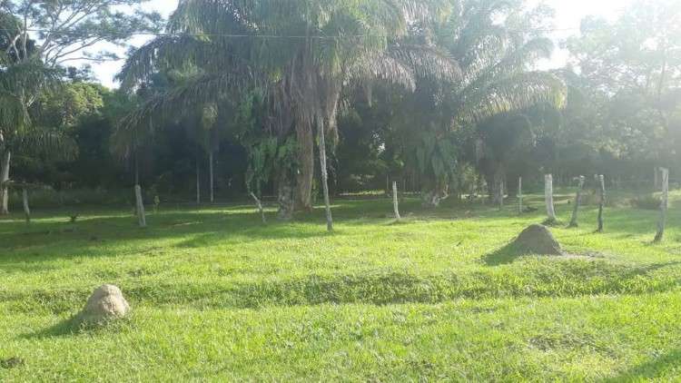 Propiedad ganadera en venta! zona de chata entrando675729331