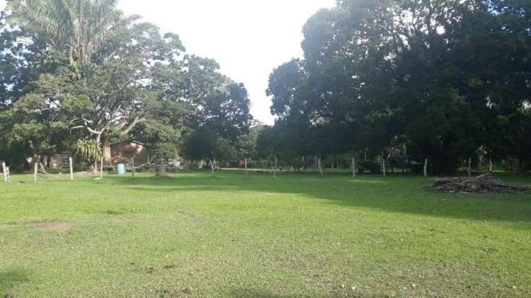 Propiedad ganadera en venta! zona de chata entrando675729331