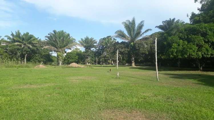 Propiedad ganadera en venta! zona de chata entrando675729331