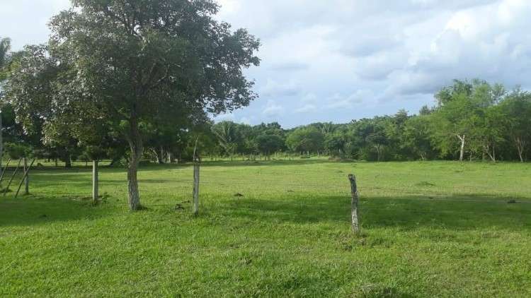 Propiedad ganadera en venta! zona de chata entrando675729331