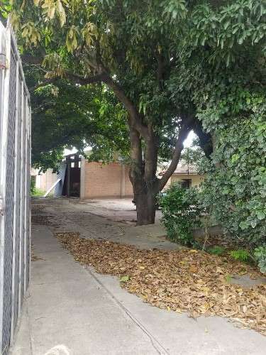 Galpón en alquiler! para depósito o almacén  avenida banzer760736122