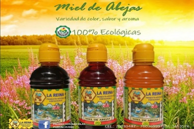 LA REINA PRODUCTOS APICOLAS banner
