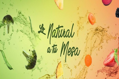 Punto Verde banner