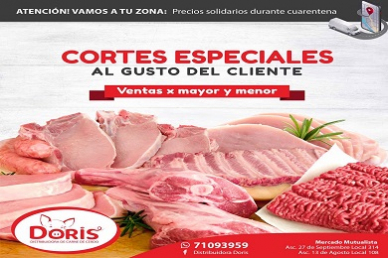 DISTRIBUIDORA DORIS banner