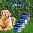 Nexgard Santa Cruz 