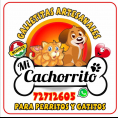 Nelson Chavez Echeverria